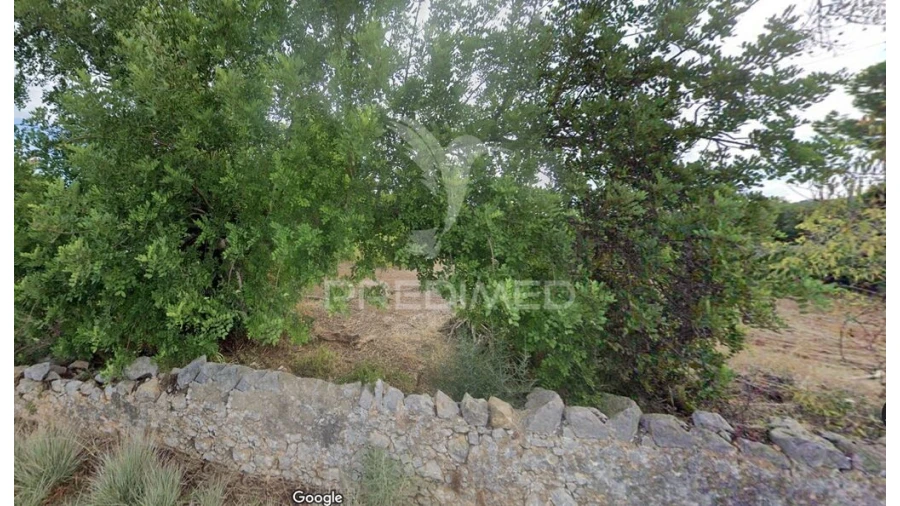 Terreno para Venda em São Brás de Alportel Foto 2