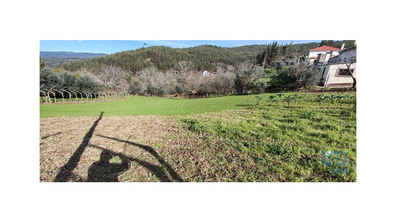 Terreno para Venda em Aguda Foto 13