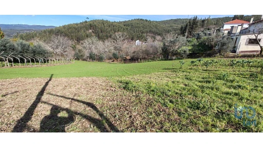 Terreno para Venda em Aguda Foto 13