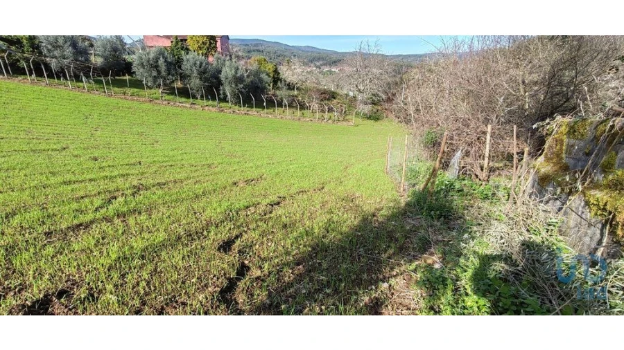 Terreno para Venda em Aguda Foto 10