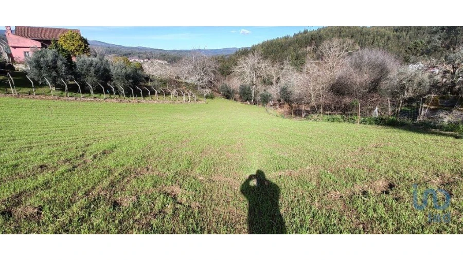 Terreno para Venda em Aguda Foto 2