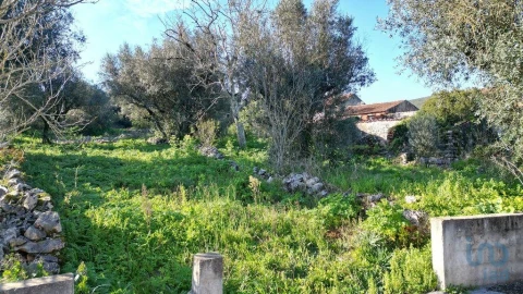 Moradia para Venda em São Miguel, Santa Eufémia e Rabaçal