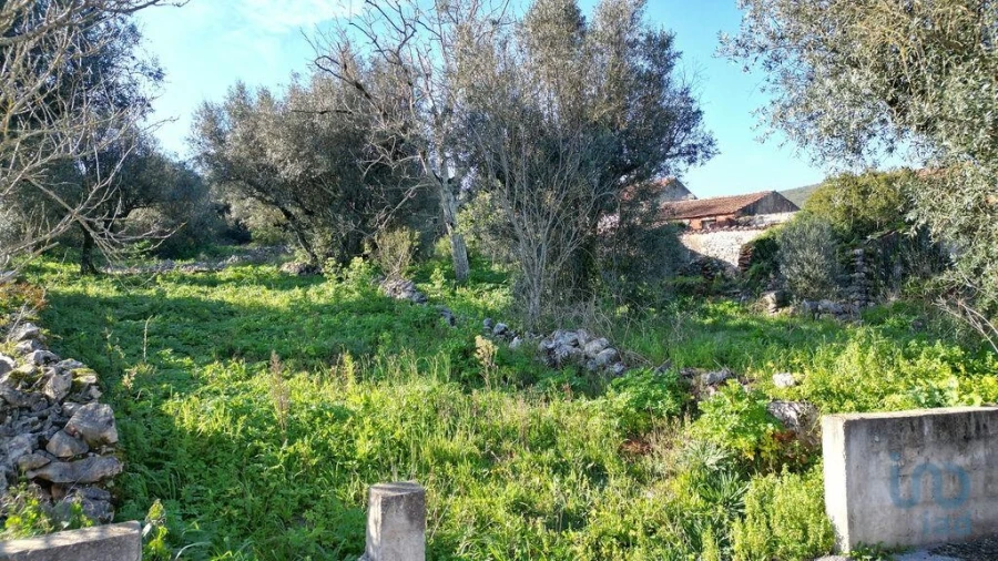 Moradia para Venda em São Miguel, Santa Eufémia e Rabaçal Foto 12