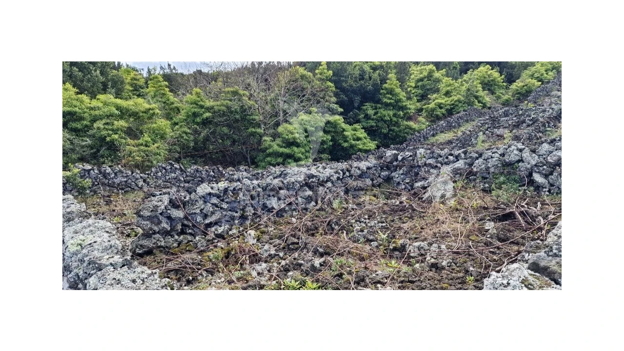 Terreno para Venda em Porto Martins Foto 8