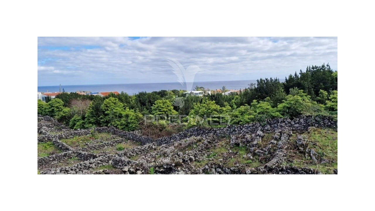 Terreno para Venda em Porto Martins Foto 14