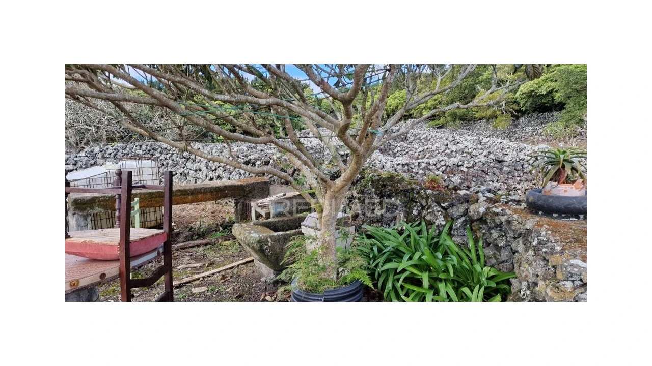 Terreno para Venda em Porto Martins Foto 2