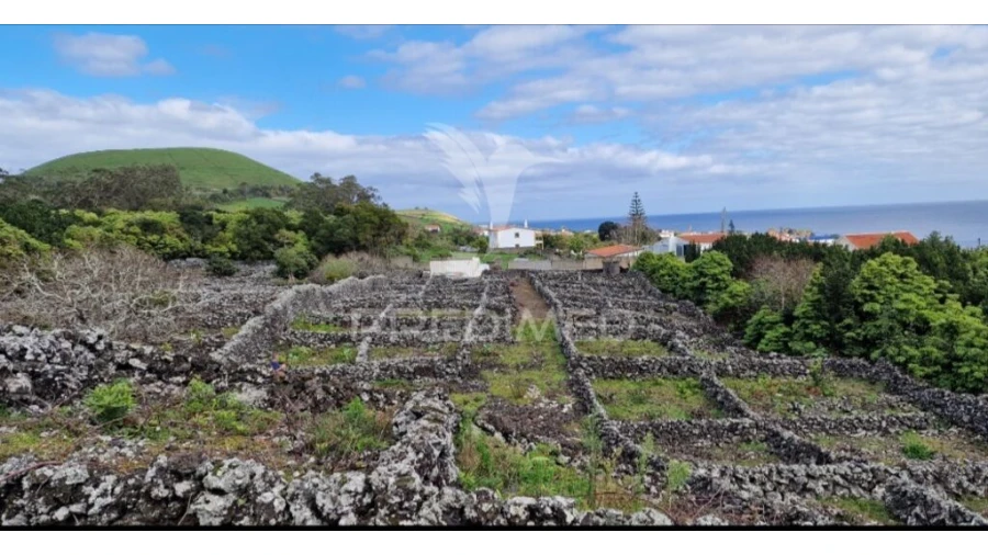 Terreno para Venda em Porto Martins