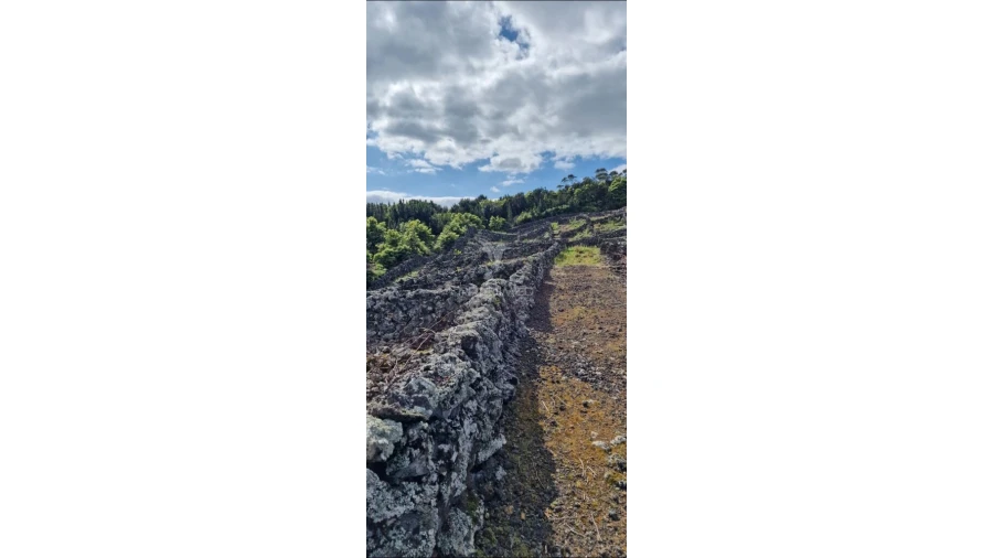 Terreno para Venda em Porto Martins Foto 18