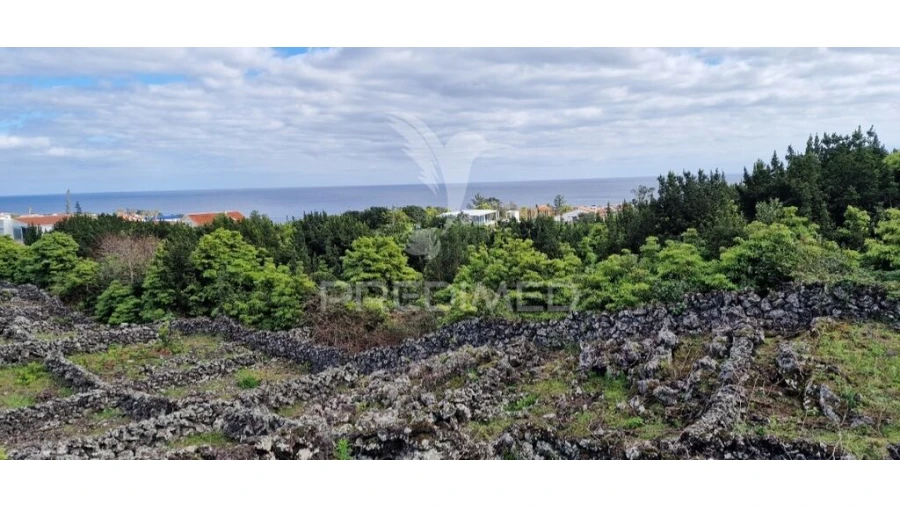 Terreno para Venda em Porto Martins Foto 14