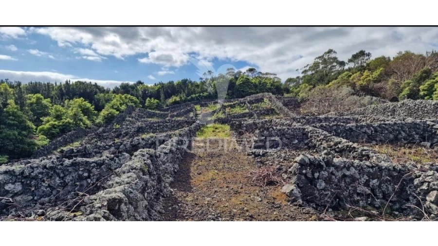 Terreno para Venda em Porto Martins Foto 19