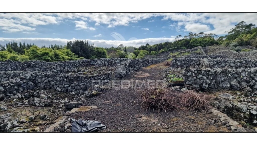 Terreno para Venda em Porto Martins Foto 5