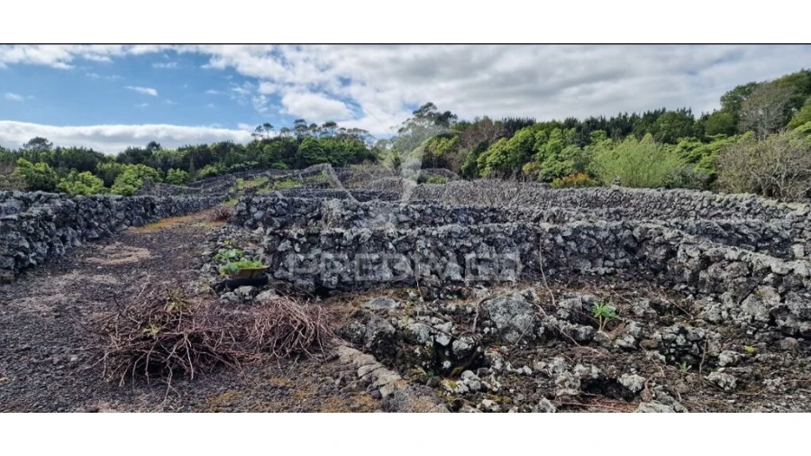 Terreno para Venda em Porto Martins Foto 4