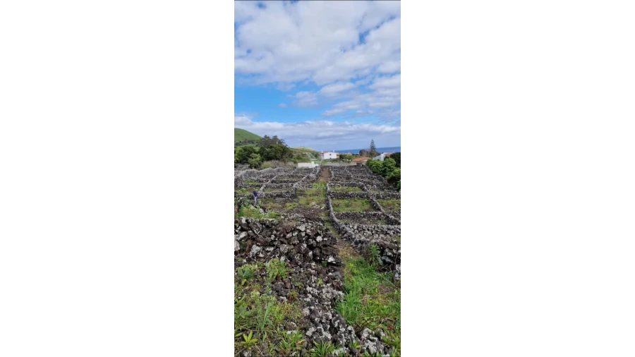 Terreno para Venda em Porto Martins Foto 10