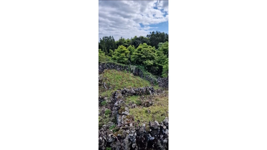 Terreno para Venda em Porto Martins Foto 9