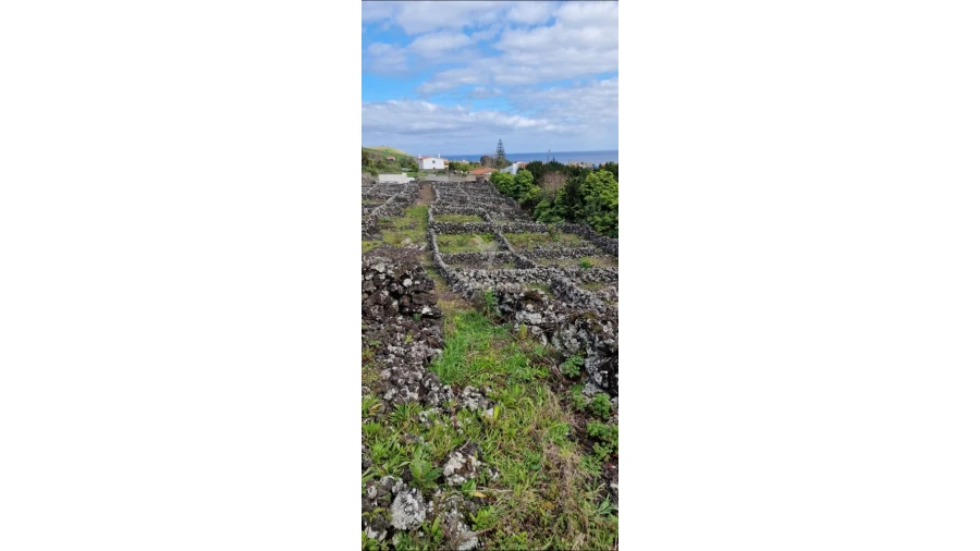 Terreno para Venda em Porto Martins Foto 11