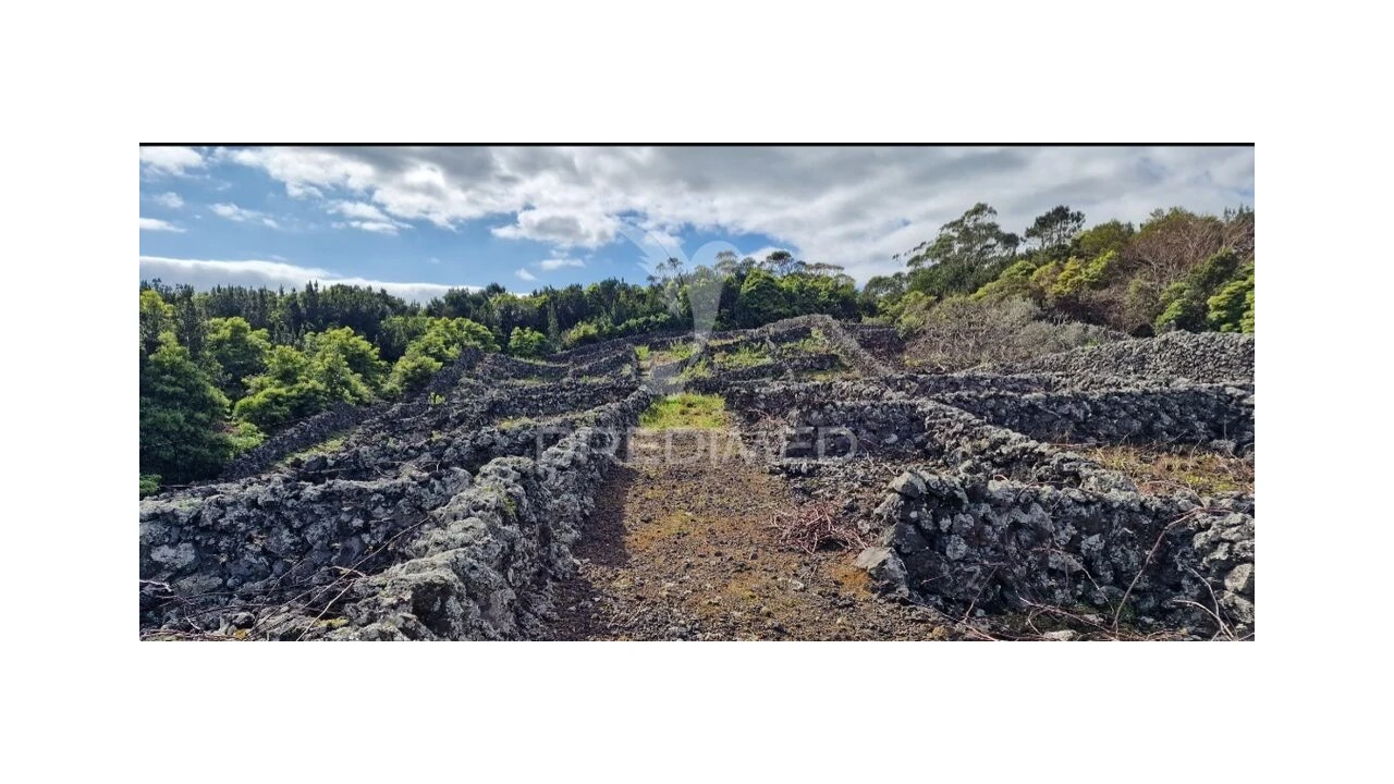 Terreno para Venda em Porto Martins Foto 19