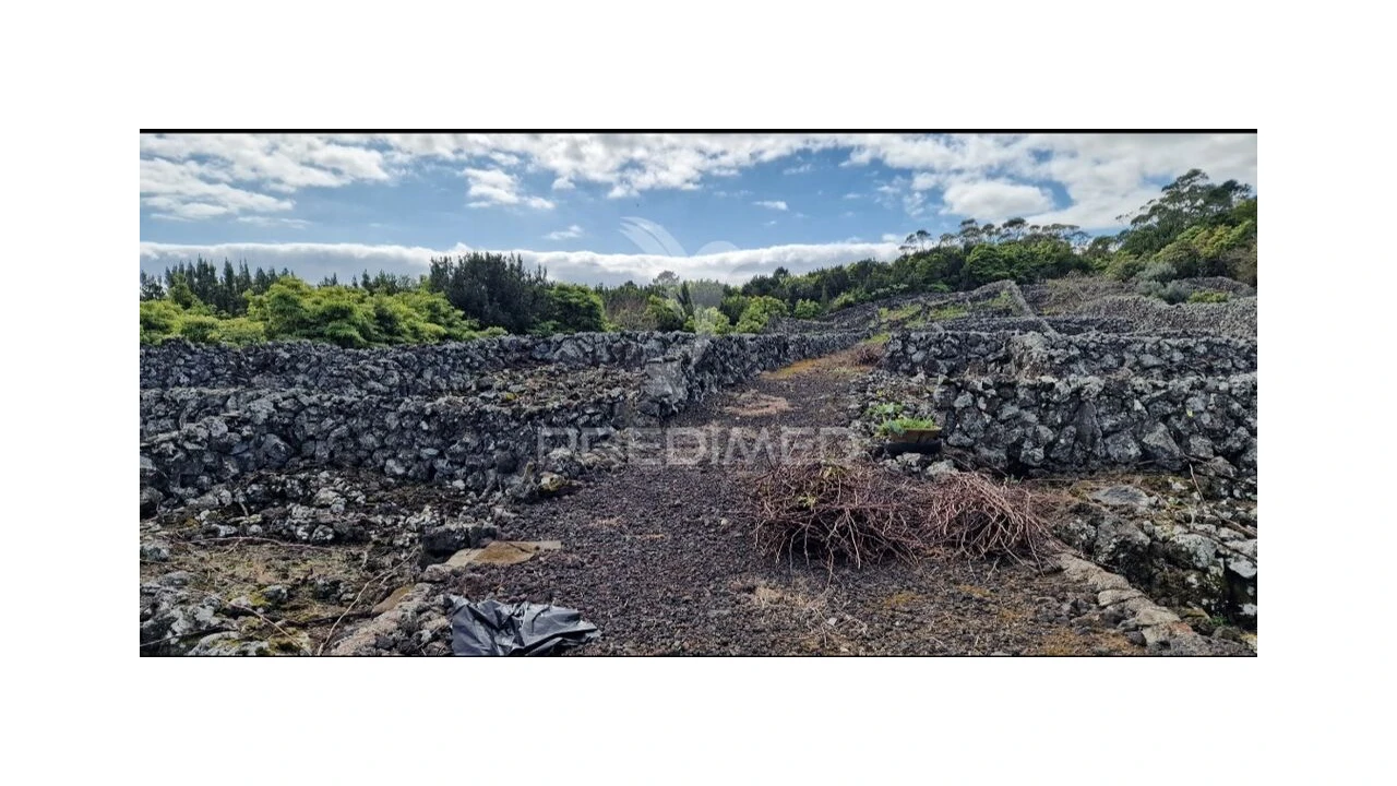 Terreno para Venda em Porto Martins Foto 5
