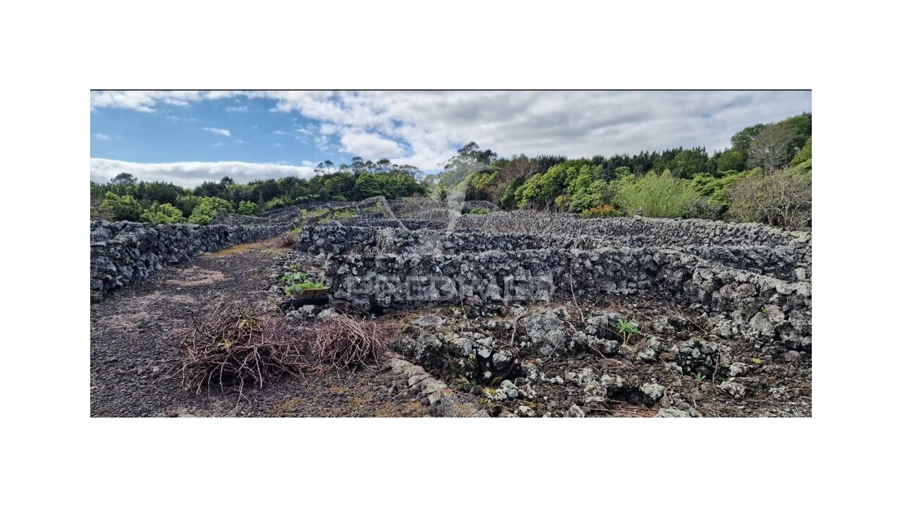 Terreno para Venda em Porto Martins Foto 4