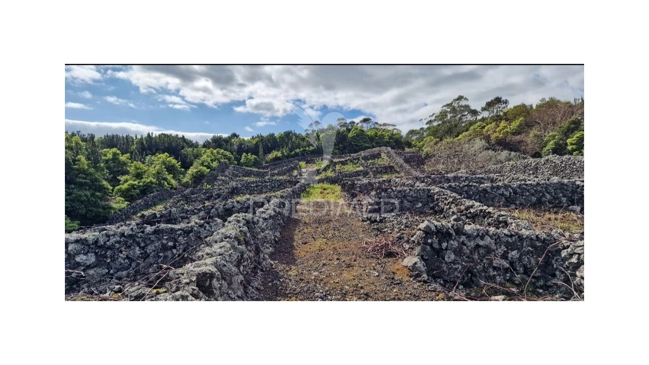 Terreno para Venda em Porto Martins Foto 20