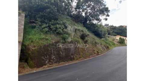 Terreno para Venda em Gaula