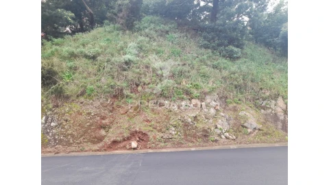 Terreno para Venda em Gaula