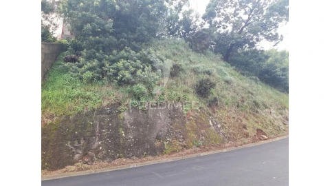 Terreno para Venda em Gaula
