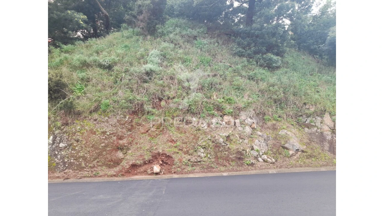 Terreno para Venda em Gaula Foto 4