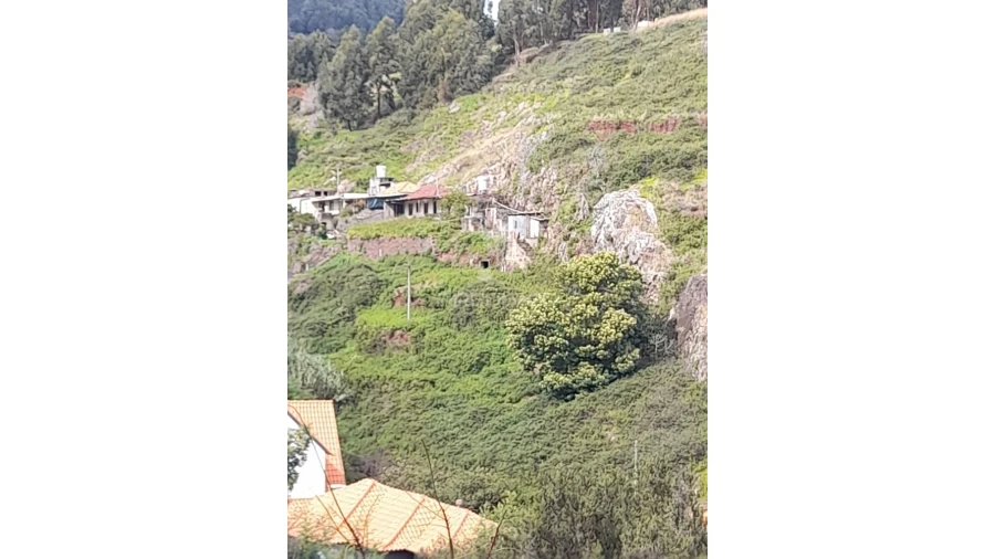 Terreno para Venda em Gaula Foto 5