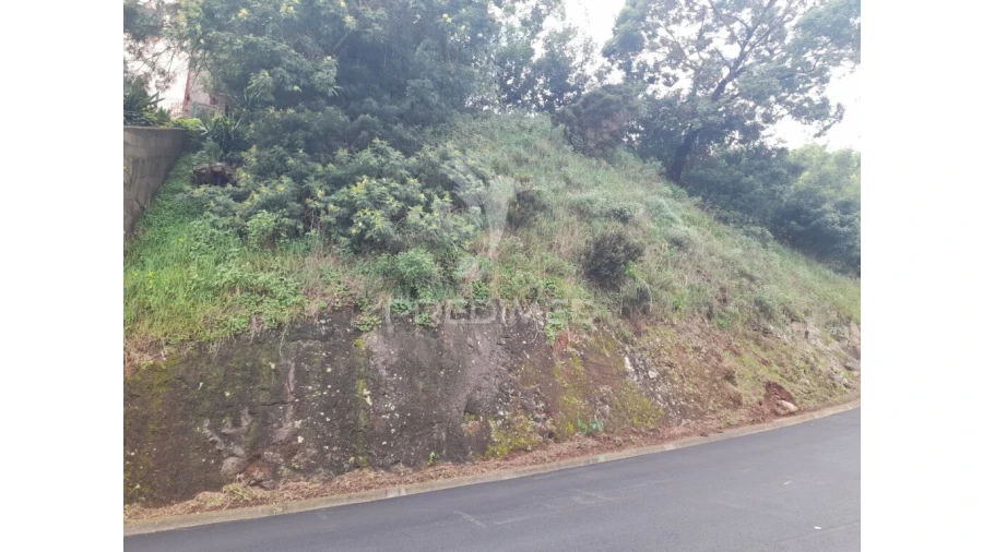Terreno para Venda em Gaula Foto 3