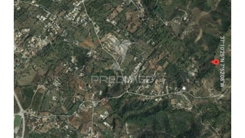 Terreno para Venda em São Brás de Alportel