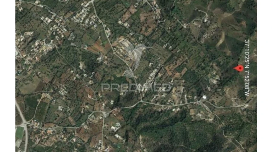 Terreno para Venda em São Brás de Alportel Foto 6