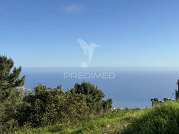 Moradia T1 para Venda em Ponta do Sol