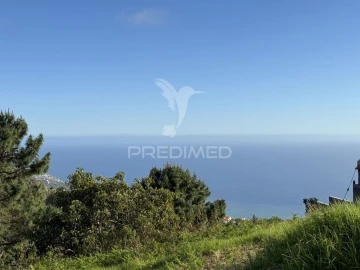 Moradia T1 para Venda em Ponta do Sol