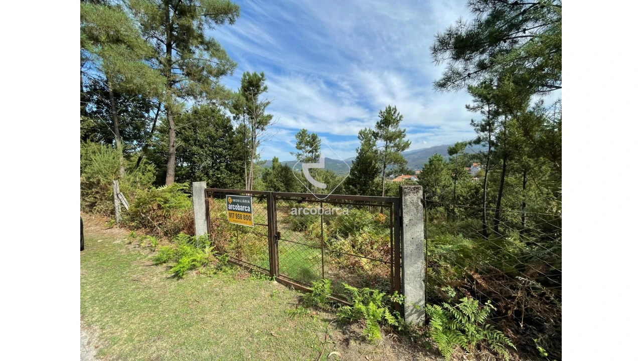 Terreno para Venda em Azere Foto 2