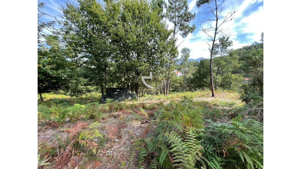 Terreno para Venda em Azere Foto 6