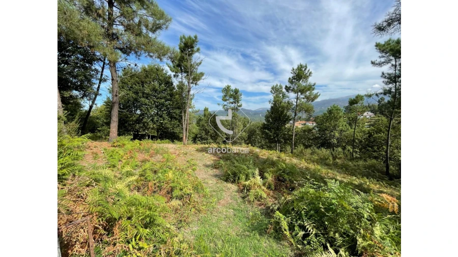 Terreno para Venda em Azere Foto 4