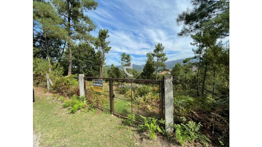 Terreno para Venda em Azere Foto 2