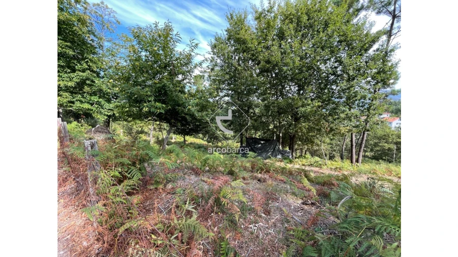 Terreno para Venda em Azere Foto 7