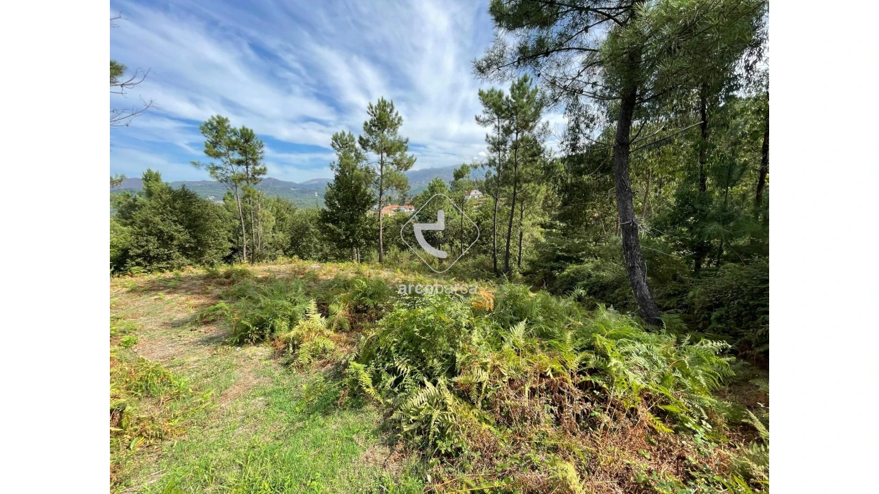 Terreno para Venda em Azere Foto 5