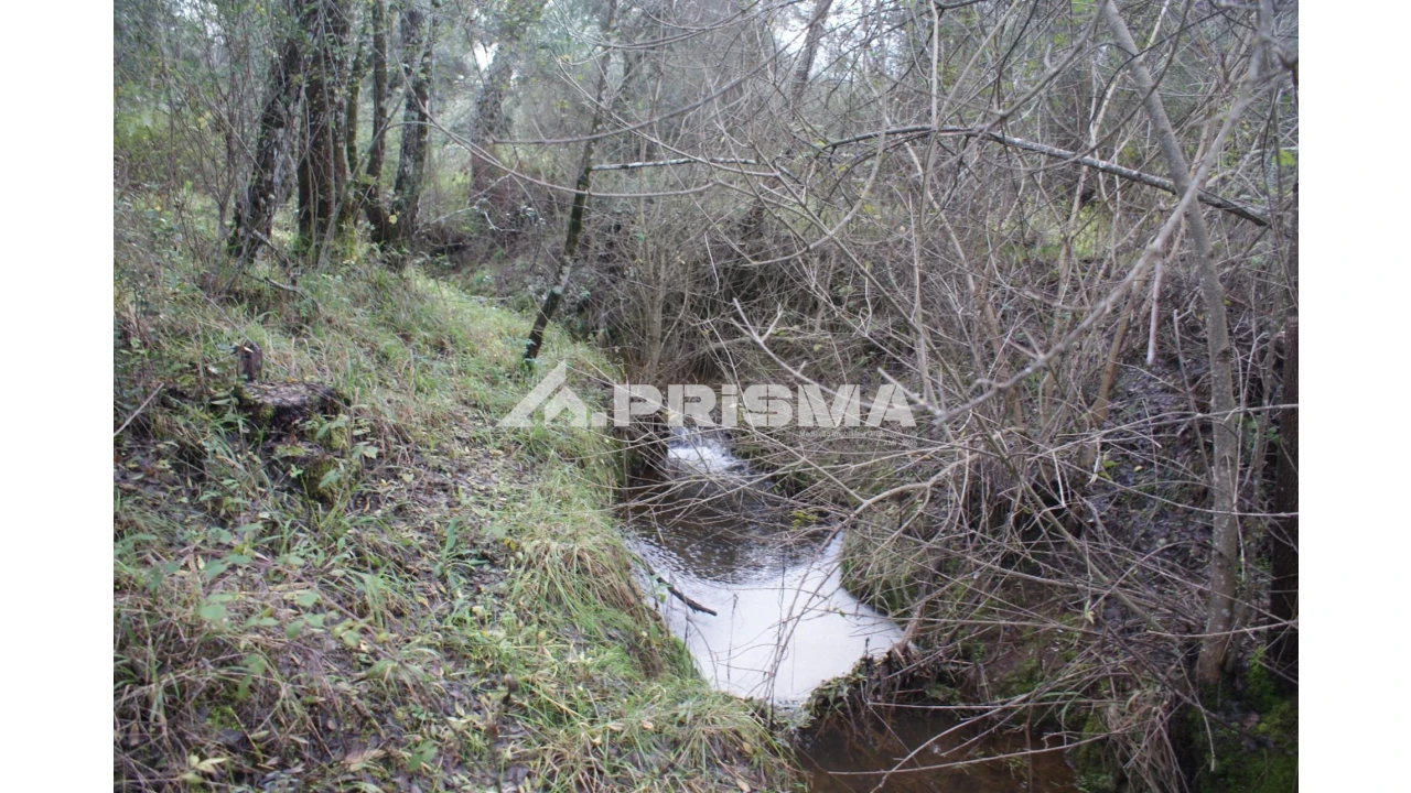 Terreno para Venda em Penamacor Foto 7