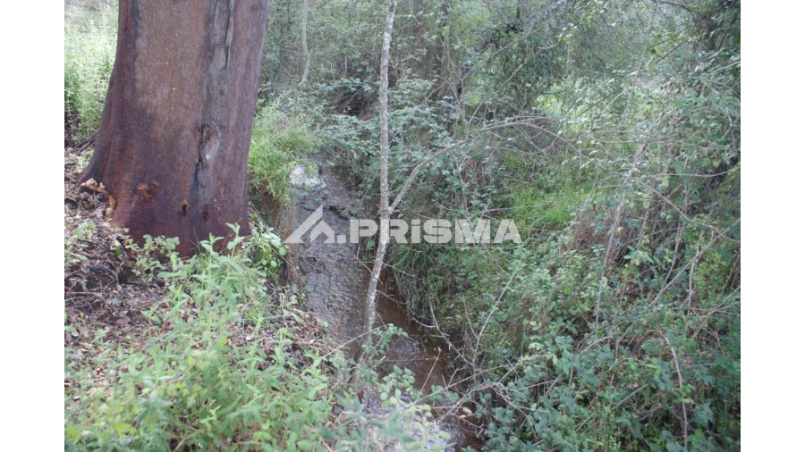 Terreno para Venda em Penamacor Foto 4