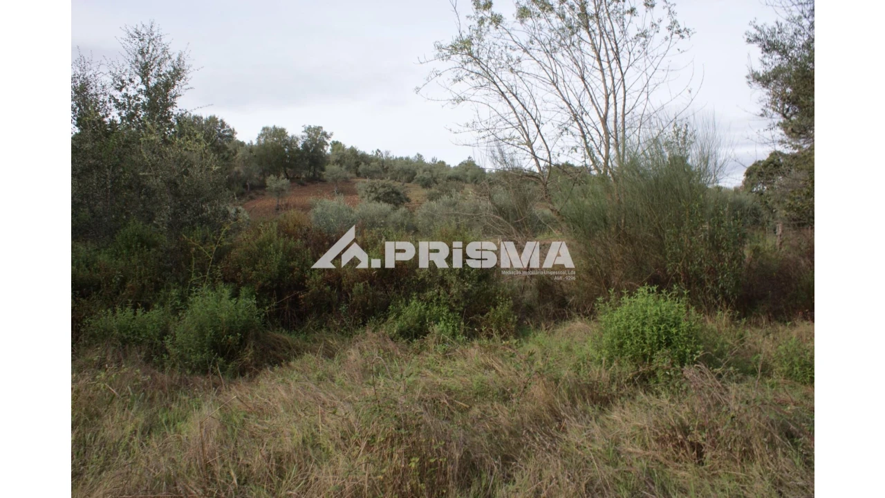 Terreno para Venda em Penamacor Foto 1