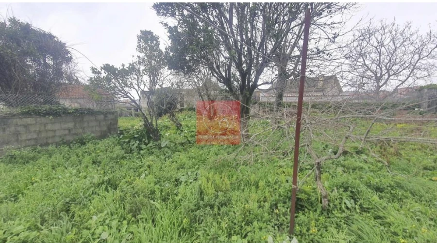 Moradia T4 para Venda em Vila Nova de Anha Foto 22