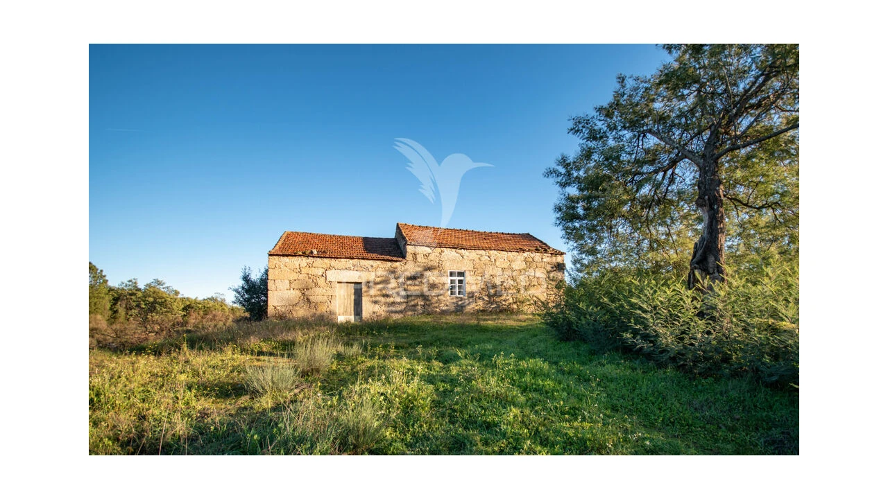 Quinta para Venda em Belmonte e Colmeal da Torre Foto 11