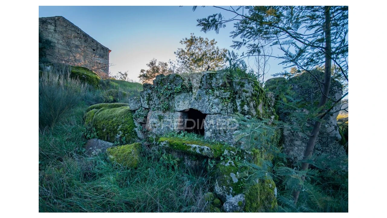 Quinta para Venda em Belmonte e Colmeal da Torre Foto 13