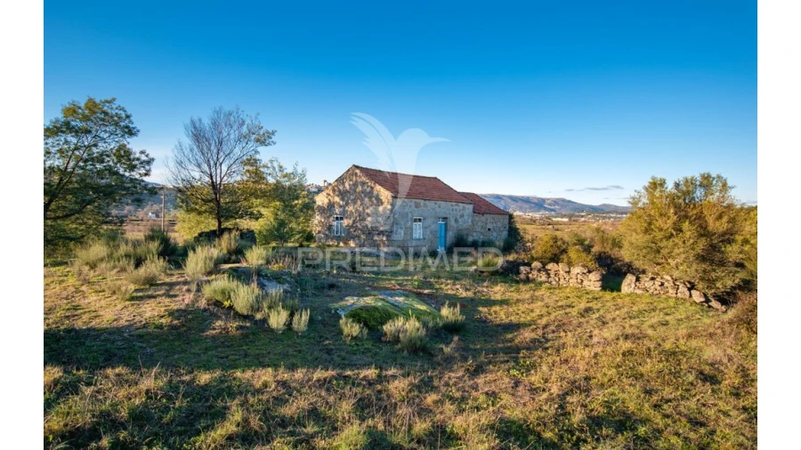Quinta para Venda em Belmonte e Colmeal da Torre Foto 3