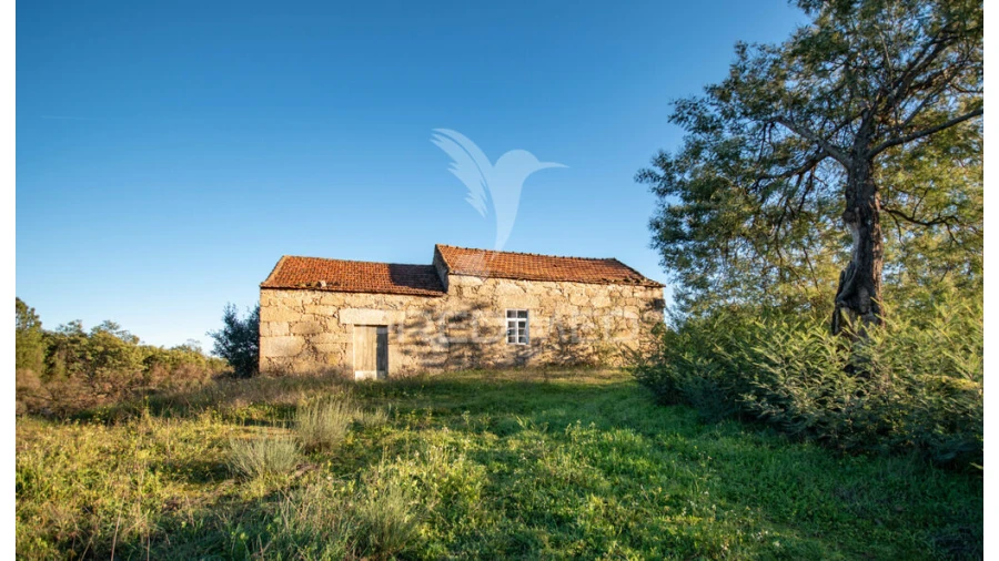 Quinta para Venda em Belmonte e Colmeal da Torre Foto 11