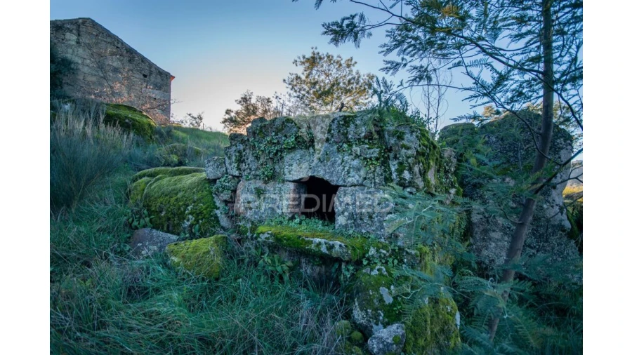 Quinta para Venda em Belmonte e Colmeal da Torre Foto 13