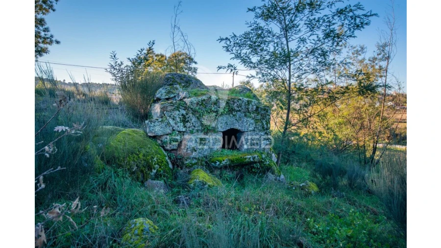 Quinta para Venda em Belmonte e Colmeal da Torre Foto 9