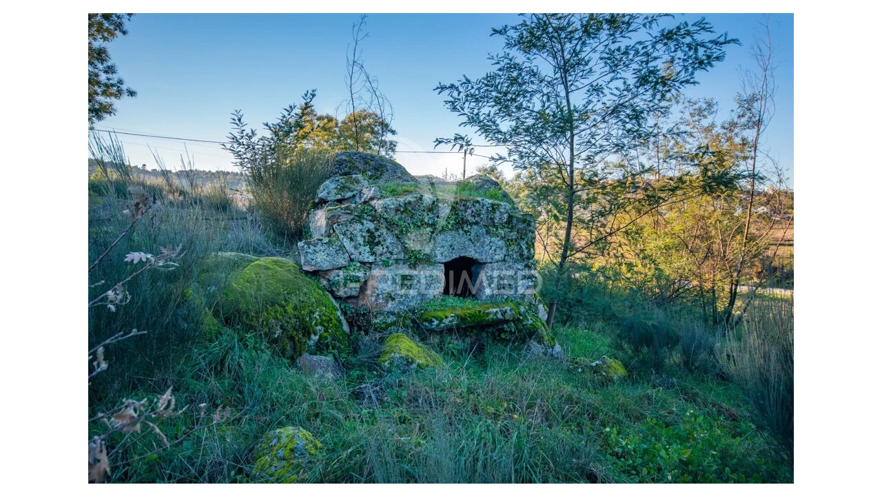 Quinta para Venda em Belmonte e Colmeal da Torre Foto 9